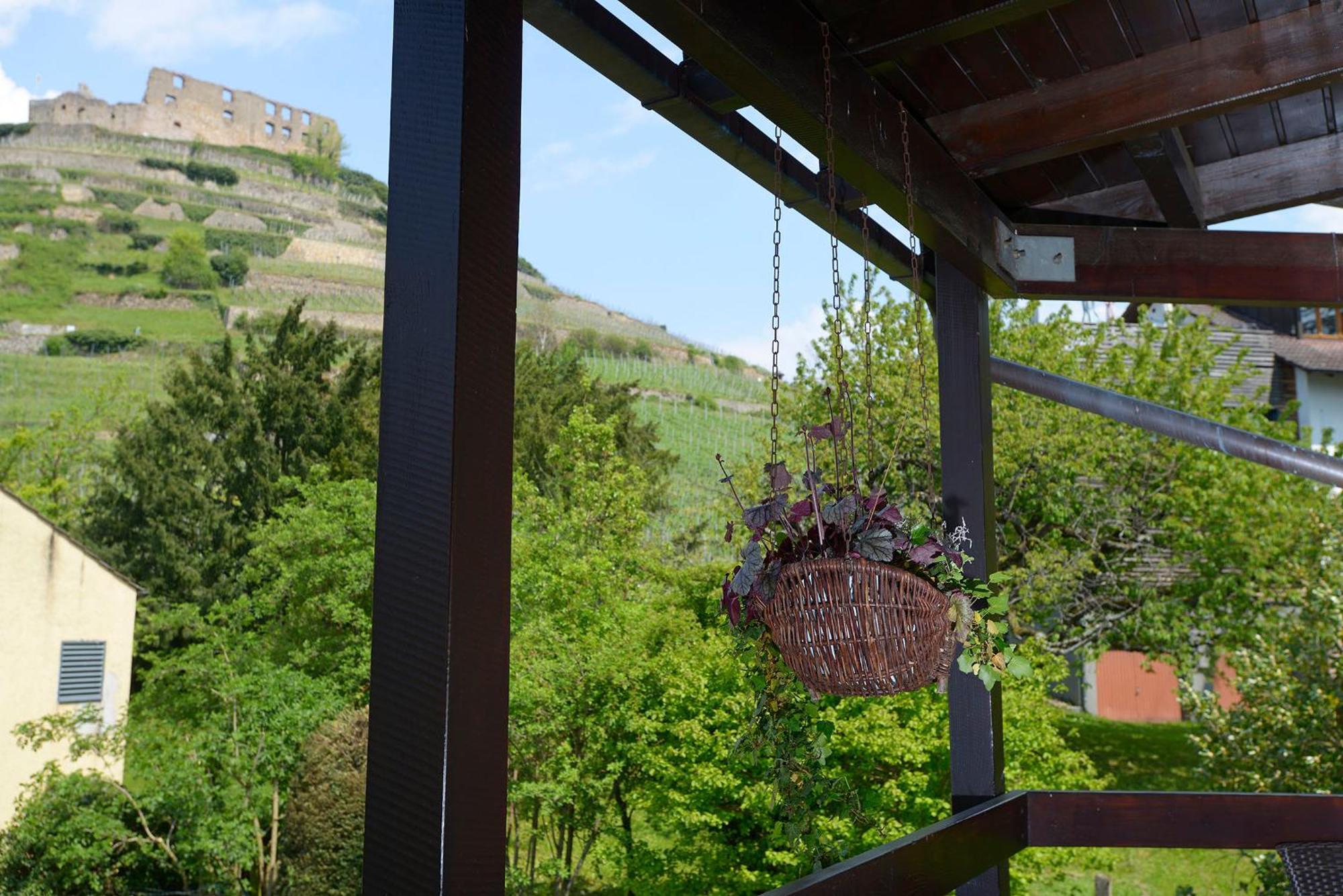 Gaestehaus Goethe Staufen im Breisgau Luaran gambar