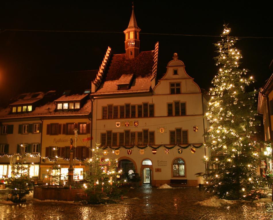 Gaestehaus Goethe Staufen im Breisgau Luaran gambar